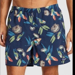 Patagonia Parrot Blue Bagies Shorts Medium
